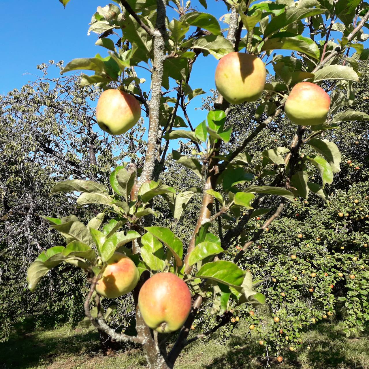 Persönliche Entwicklung im Fokus