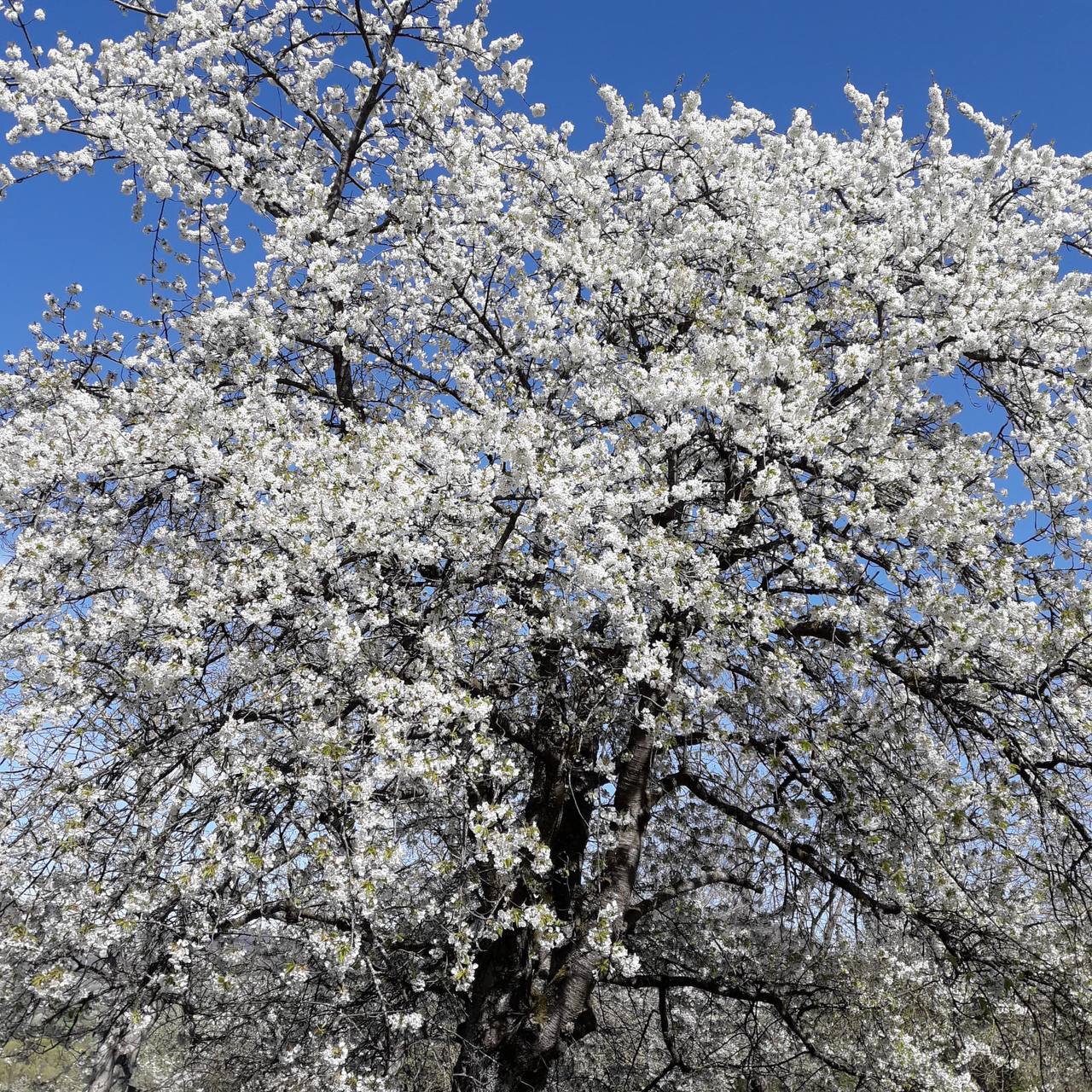 Gemeinsame Lösungsfindung